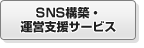 SNS���ۡ����Ļٱ祵���ӥ�